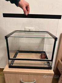 Teca/terrario