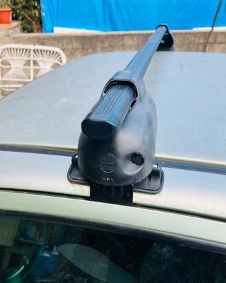 Porta pacchi auto universali