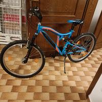 bicicletta 