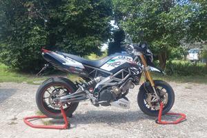 Dorsoduro 750