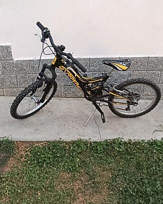 Bicicletta 