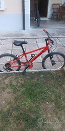 Bicicletta MTB