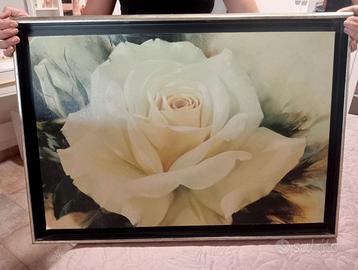 Quadro rosa bianca 