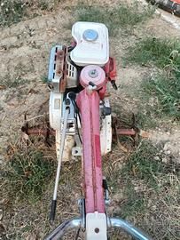 motozappa Honda F600