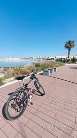bici coppi 29 
