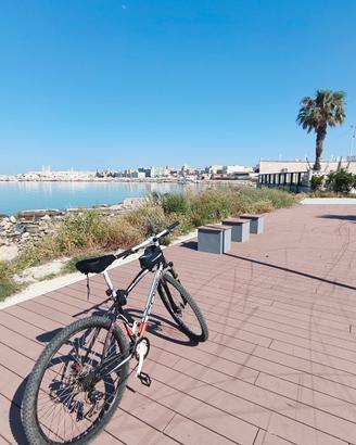bici coppi 29 