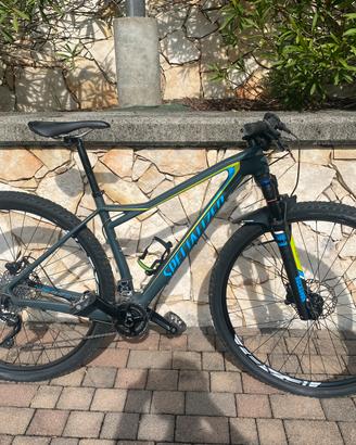 Mtb specialized comp fate donna 29 carbonio