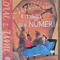 Libro "Il mago dei numeri"
