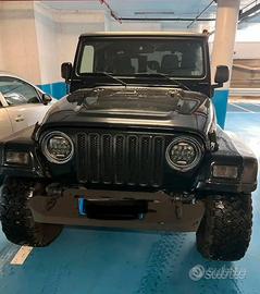 Parauti porta vericello jeep wrangler