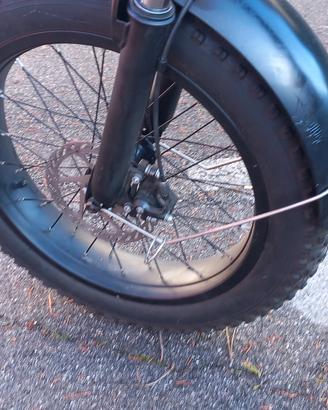 bici elettrica 