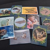 11 figurine animali Panini 