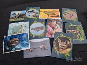 11 figurine animali Panini 