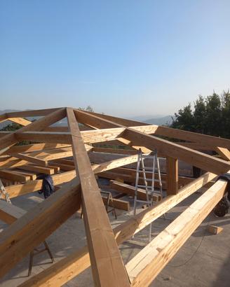 tetti in legno lamellare