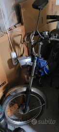 Motorino 50 doniselli