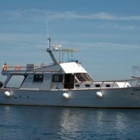 Barca da lavoro uso noleggio