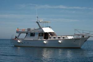 Barca da lavoro uso noleggio