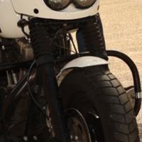 BATWING HARLEY DAVIDSON