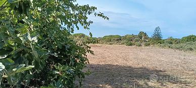 terreno sorso