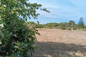 terreno sorso
