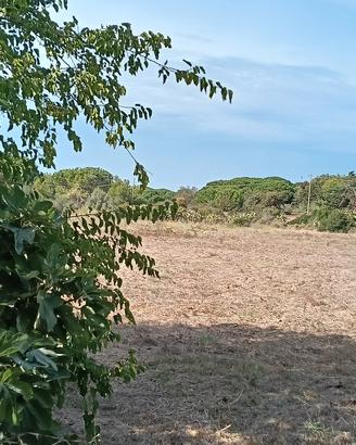 terreno sorso