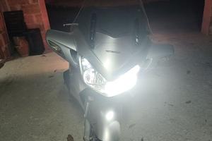 Honda Pan European 1.300