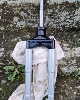 Forcella completa Aprilia Scarabeo 50 2T dal 2014