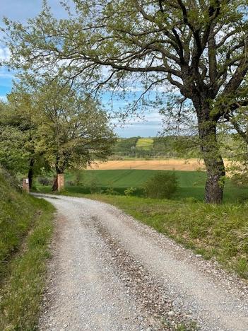 Casale ristrutturato a Cetona in Toscana