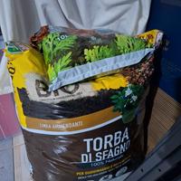 Torba per terrario