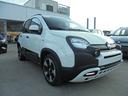 fiat-panda-1-0-firefly-s-s-hybrid-pandina