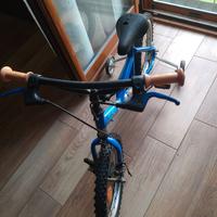 Bicicletta bimbi 4/6 anni