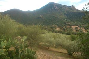Terreno agricolo località Marreri Nuoro