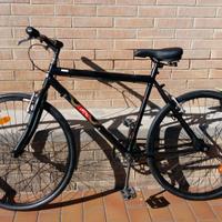 Bicicletta passeggio