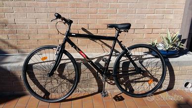 Bicicletta passeggio