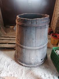 tino inizio novecento