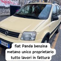 Panda climbing