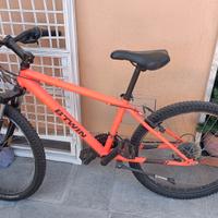 bici mtb con da ruote 24