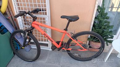 bici mtb con da ruote 24