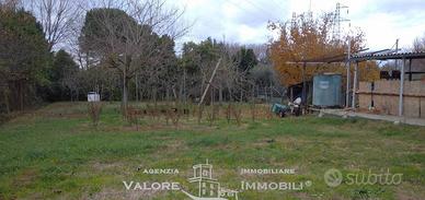 Magazzino a Livorno