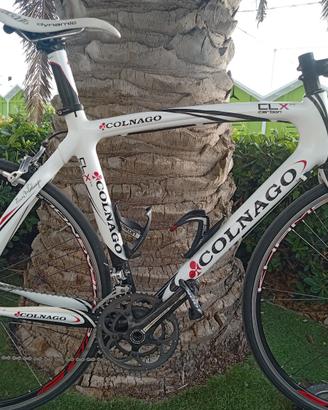 bici da corsa Colnago CLX/TG/M/54/54/11 velocità 