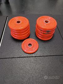 Dischi pesi in ghisa 2kg