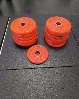 Dischi pesi in ghisa 2kg