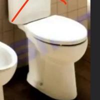 wc serie fenice Cesame 