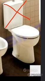 wc serie fenice Cesame 