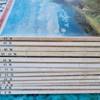 Lotto riviste caccia