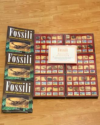 Il Magico Mondo dei Fossili – Opera Completa De Ag
