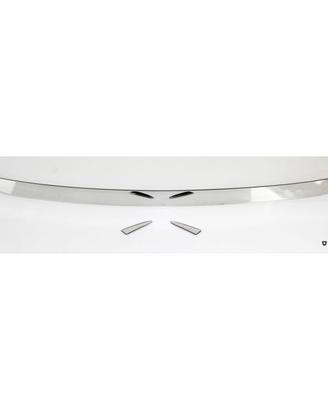 Protezione soglia baule in acciaio inossidabile pe