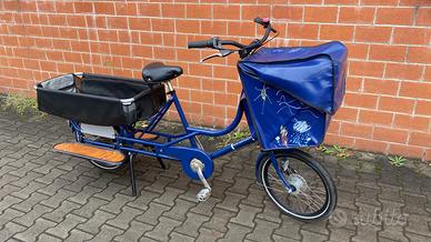 Bicicapace cargobike