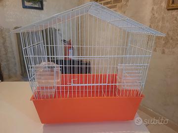 gabbia per canarini