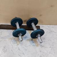 Coppia di manubri vintage