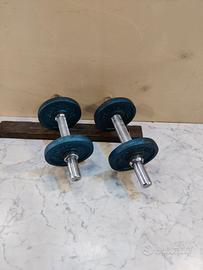 Coppia di manubri vintage